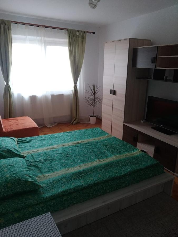 Apartament Erik Apartment Sibiu Exterior photo